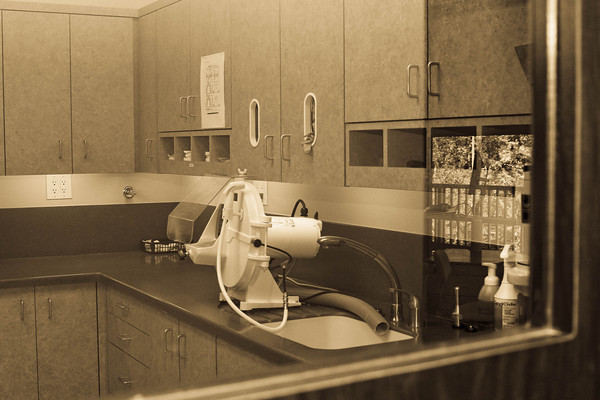 lab